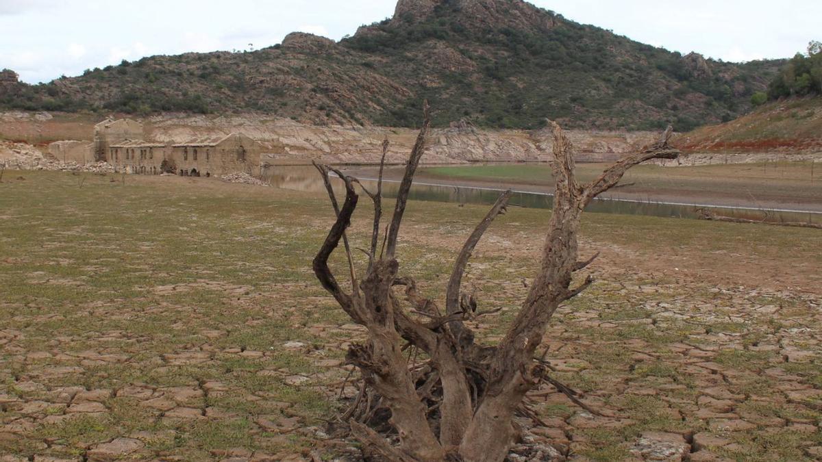 L'estat de sequera actual és preocupant.