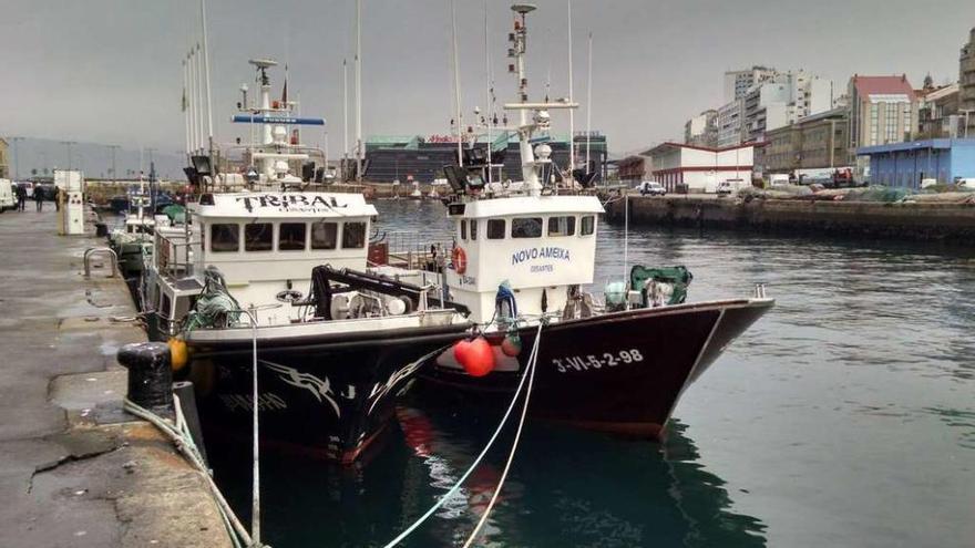 Dos de los barcos de la flota de cerco viguesa amarrados en el puerto olívico. // A.A.