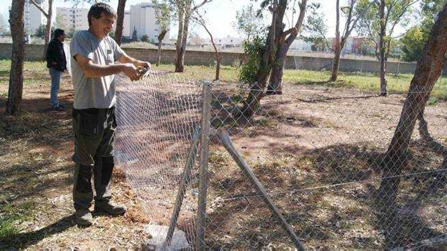 Benicàssim inicia las obras para crear un parque canino