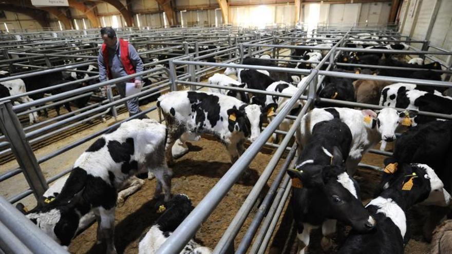 La nueva PAC beneficiará a las granjas pequeñas y medianas - Faro de Vigo - Vimarsana News