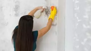 Adiós al moho: elimina las machas de humedad de las paredes y déjalas como nuevas