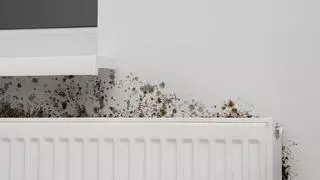 Adiós a tapar el moho de la pared con pintura: la mezcla que tenemos en casa que te ahorra tiempo y esfuerzo