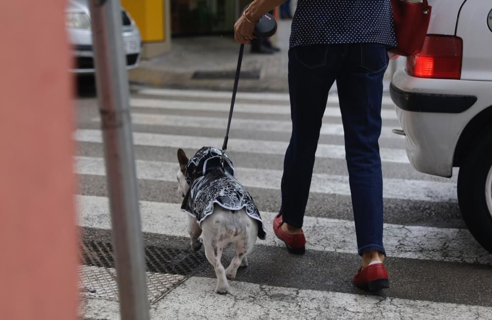 Saturación de tráfico y gente por la lluvia