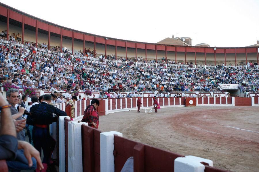 Toros en Zamora