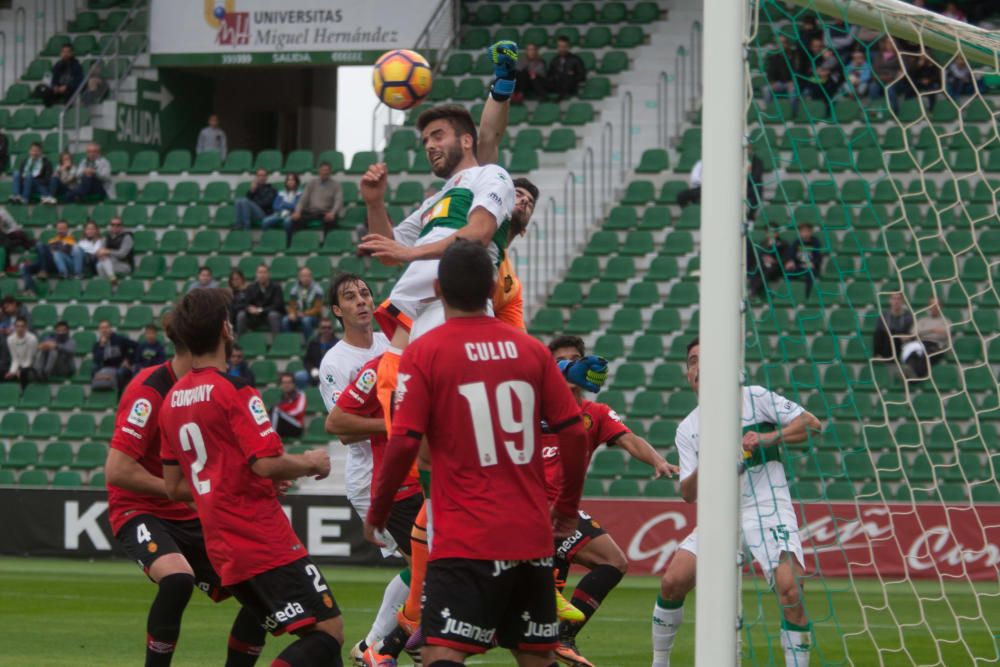 Elche - Mallorca