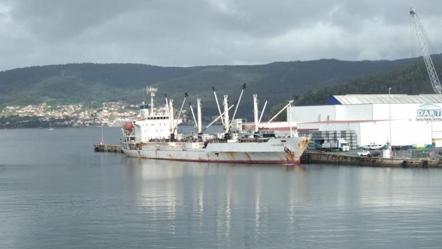 La descarga de mil toneladas de calamar abre la esperada campaña de las Malvinas en el Puerto