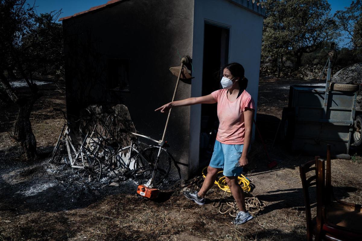 Galería | Las Viñas de Arroyo de la Luz, el día después del incendio Galería | Las Viñas de Arroyo de la Luz, el día después del incendio