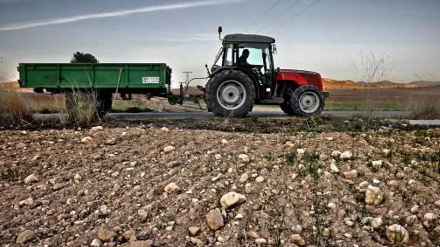 La reunión de ayer con el director general de Agricultura y las imágenes de la sequía en el Medio Vinalopó.