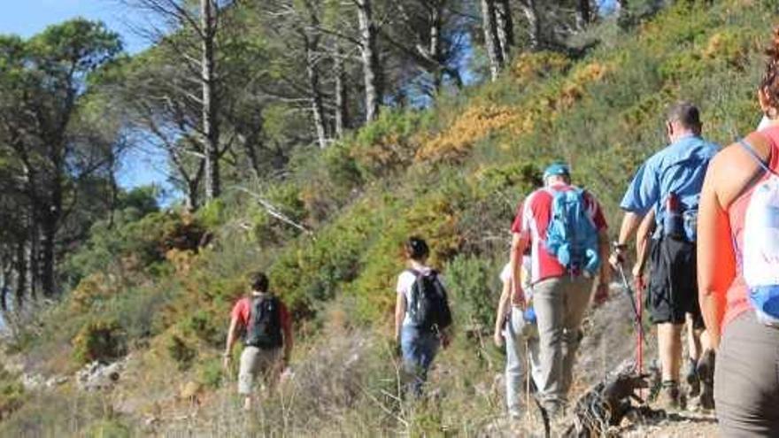 Málaga, en vías de ser sostenible pero con asignaturas pendientes