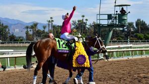Jockey Javier Castellano celebrates victory on Belvoir Bay in the Turf Sprint at the 2019 Breeders Cup at the Santa Anita Racetrack in Arcadia, California on November 2, 2019. (Photo by Frederic J. BROWN / AFP)