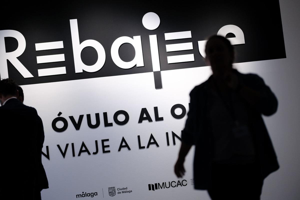 La exposición 'Del óvulo al origen. Un viaje a la inversa', de Frank Rebajes en el MUCAC La Coracha