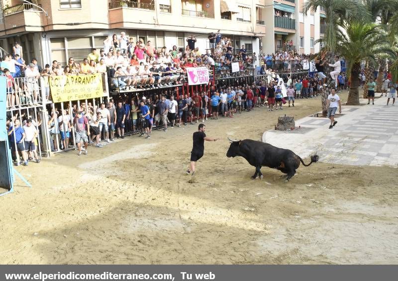 Peñas y toro.