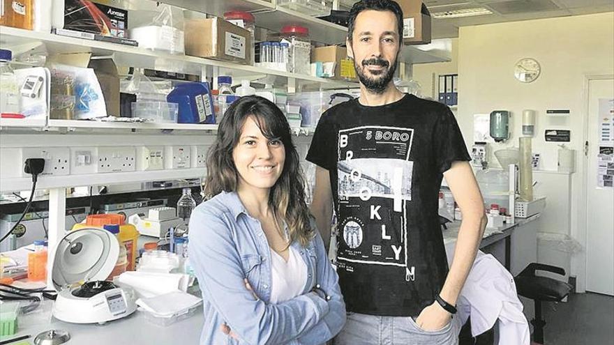 Un estudio demuestra que tener una flora intestinal sana alarga la vida