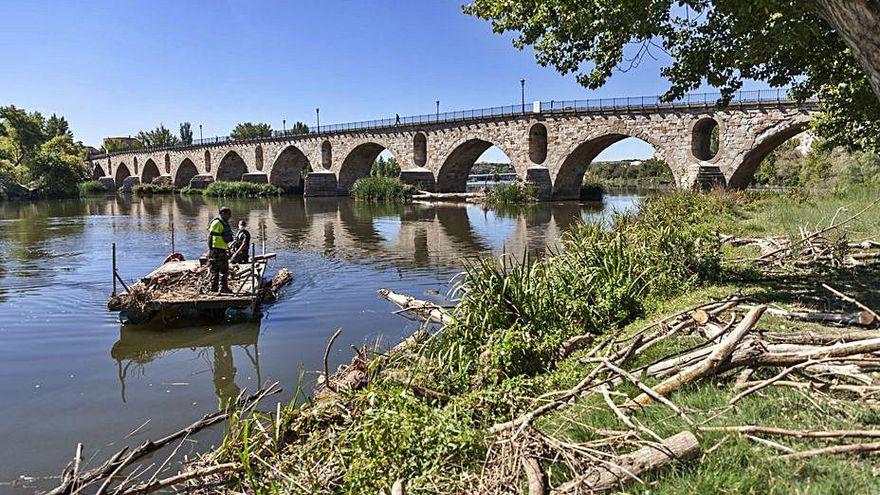 Labores de limpieza en el río Duero.