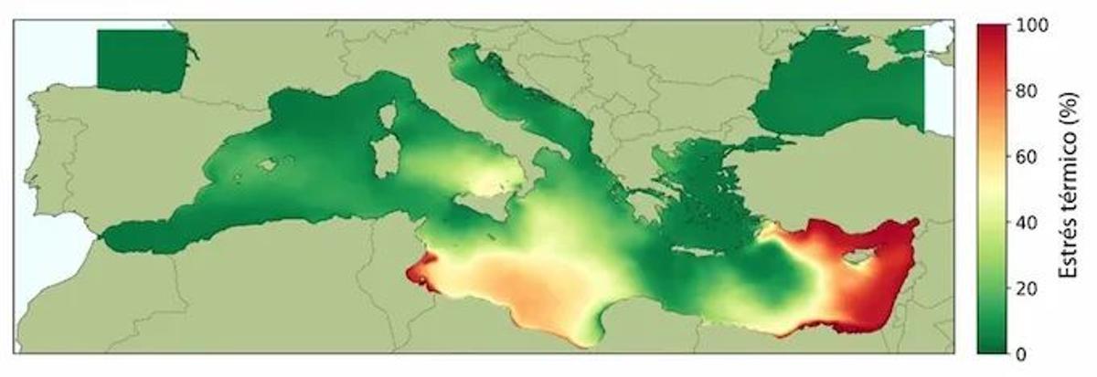 Mapa de estrés térmico del Mediterráneo