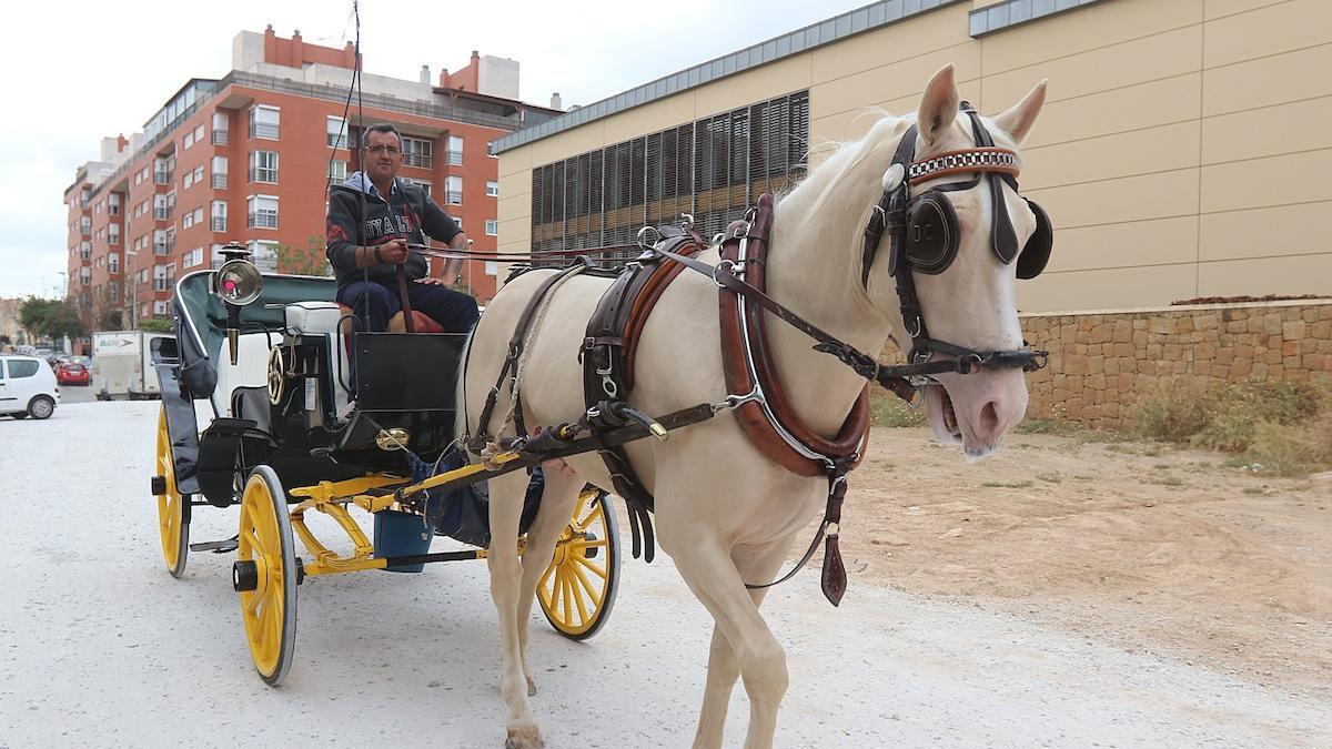 Un coche de caballos llega a las caballerizas de la calle Mesonero Romanos, en una foto de 2017.