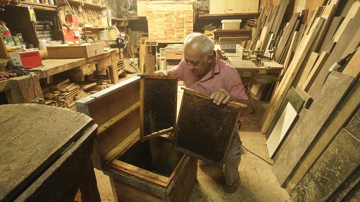 Jaume Roure mostra l'interior d'antigues capses de ruscos que conserva a la masia on viu, a Cassà de la Selva.