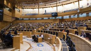 El PSOE i el Front Ampli negociaran llistes conjuntes per al Senat