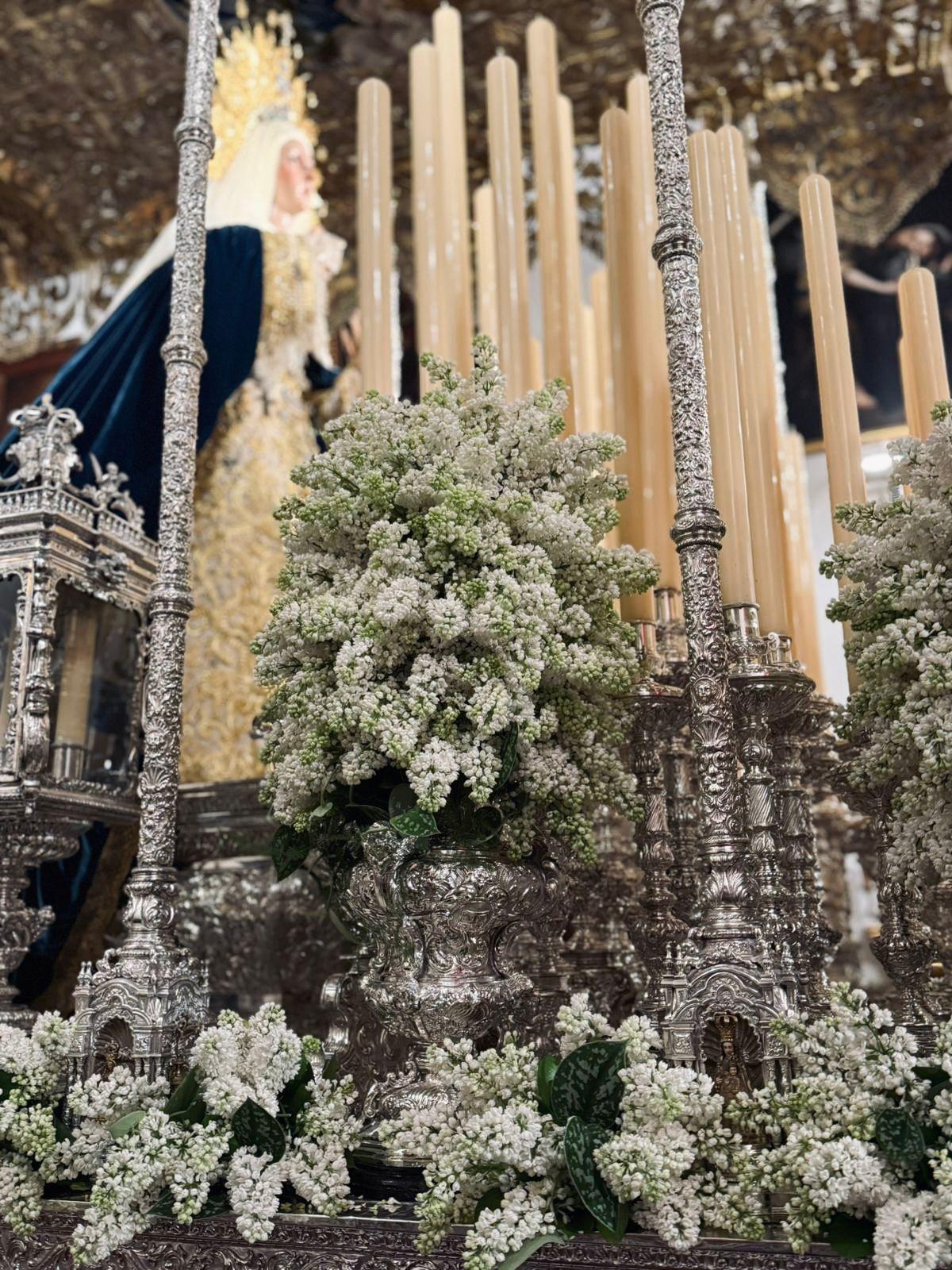 Lilas blancas para el paso de palio de la Virgen de las Aguas de la Hermandad del Museo.