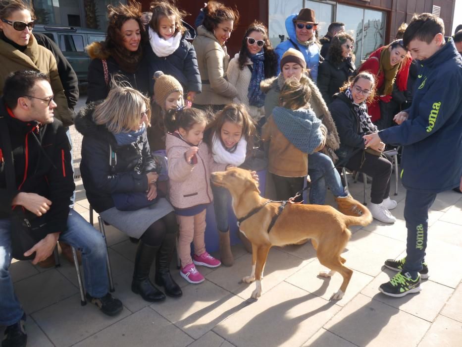 Jornada de adopción de perros en el Bioparc