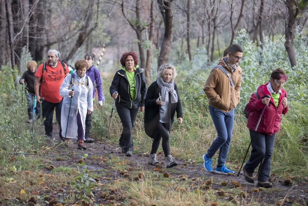 Más de medio millar de personas se citaron esta mañana en Coruxo para recorrer la zona quemada en octubre de 2017.