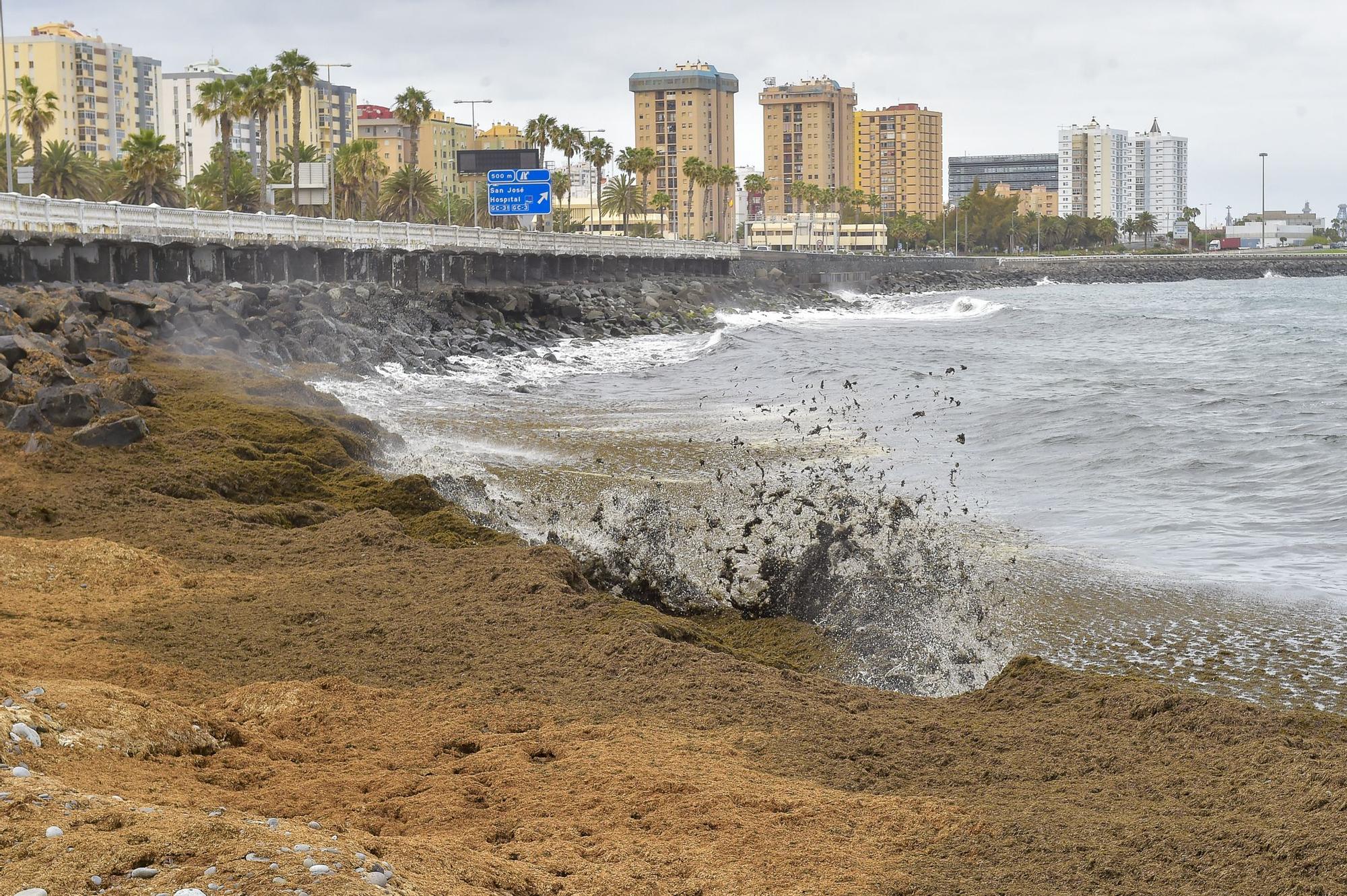 Zona vallada en el paseo de la avenida marítima frente Hospital Insular