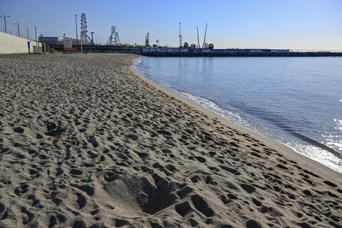 La Fundació Ecomar recull 100 quilos de residus a la platja del Fòrum de Barcelona