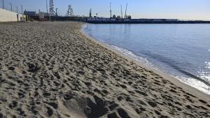 La Fundació Ecomar recull 100 quilos de residus a la platja del Fòrum de Barcelona