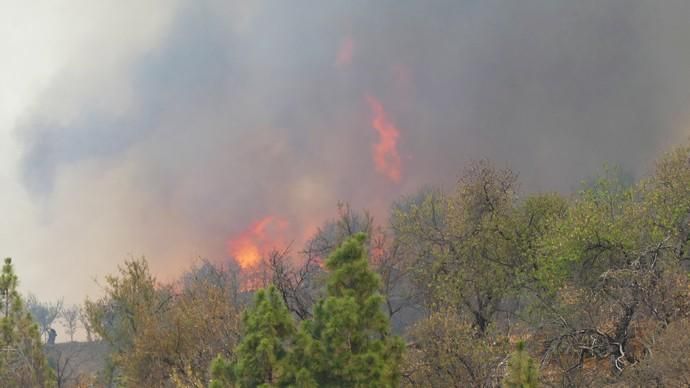 El fuego devora 400 ha y evoluciona ...