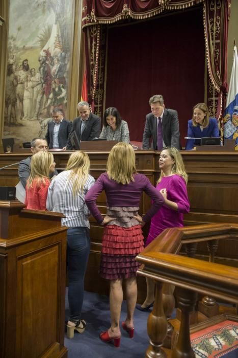 Delia Padrón Pleno del Parlamento de Canarias , Santa Cruz de Tenerife , presidente Fernando Clavijo CC