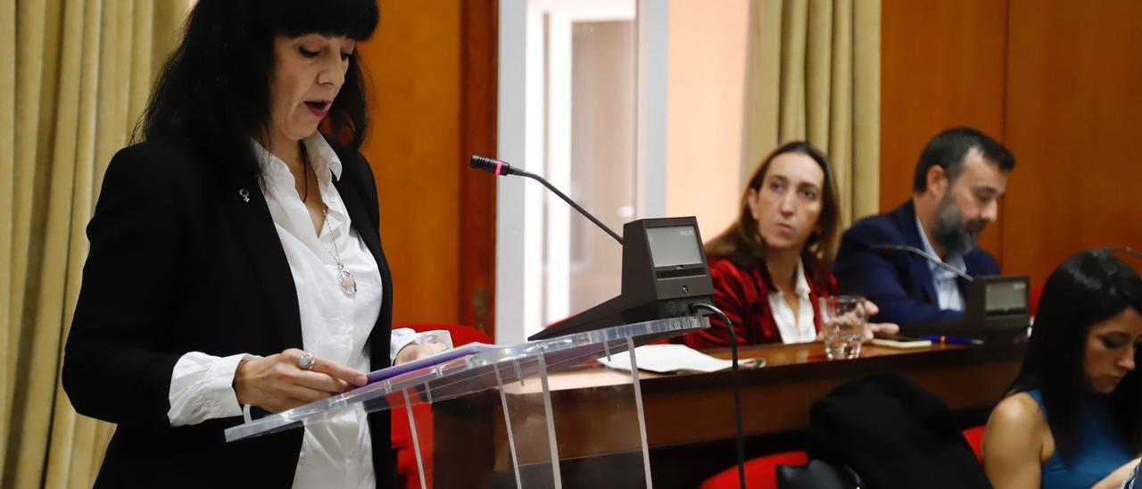 Rosa Quirós, de la Plataforma Cordobesa Contra la Violencia a las Mujeres, interviene en el pleno.