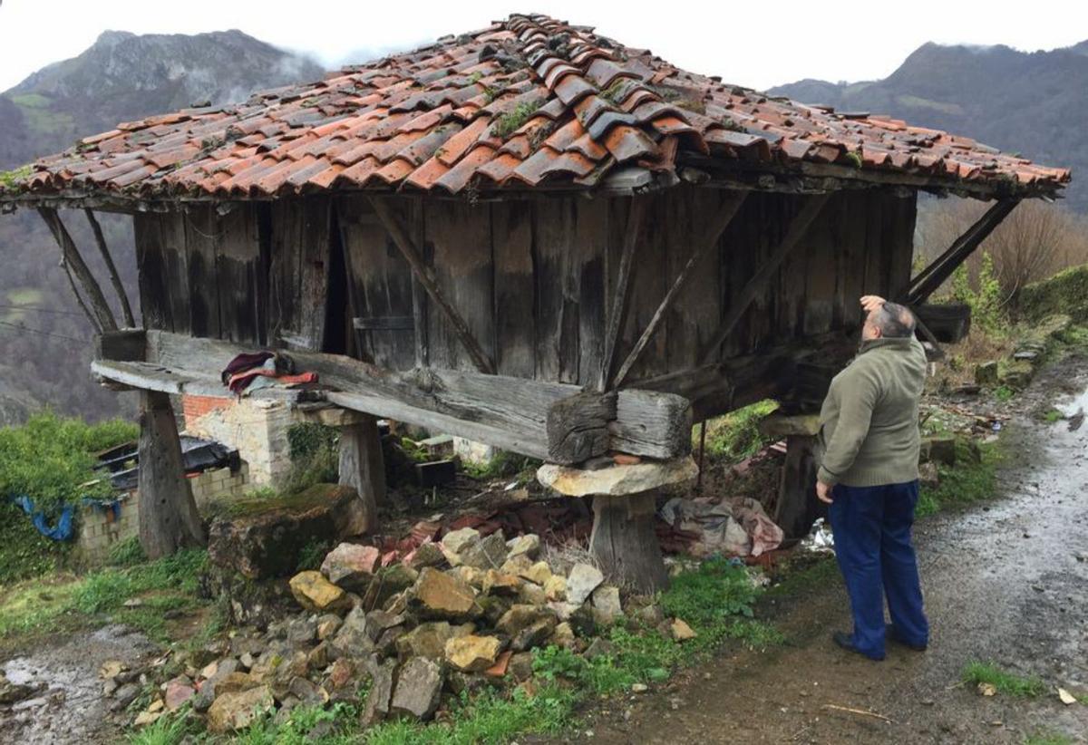 Un hombre, ante el hórreo de Vis, en 2018, antes de su desplome. | LNE