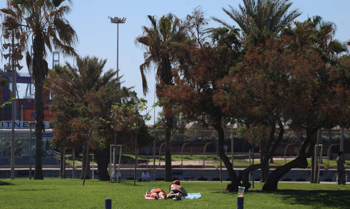 El buen tiempo llena la playa de la Malvarrosa en València El buen tiempo llena la playa de la Malvarrosa en València