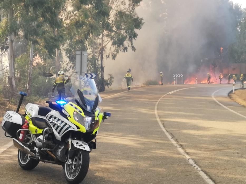 El fuego comenzó alrededor de las 16:00 y se expandió con gran velocidad