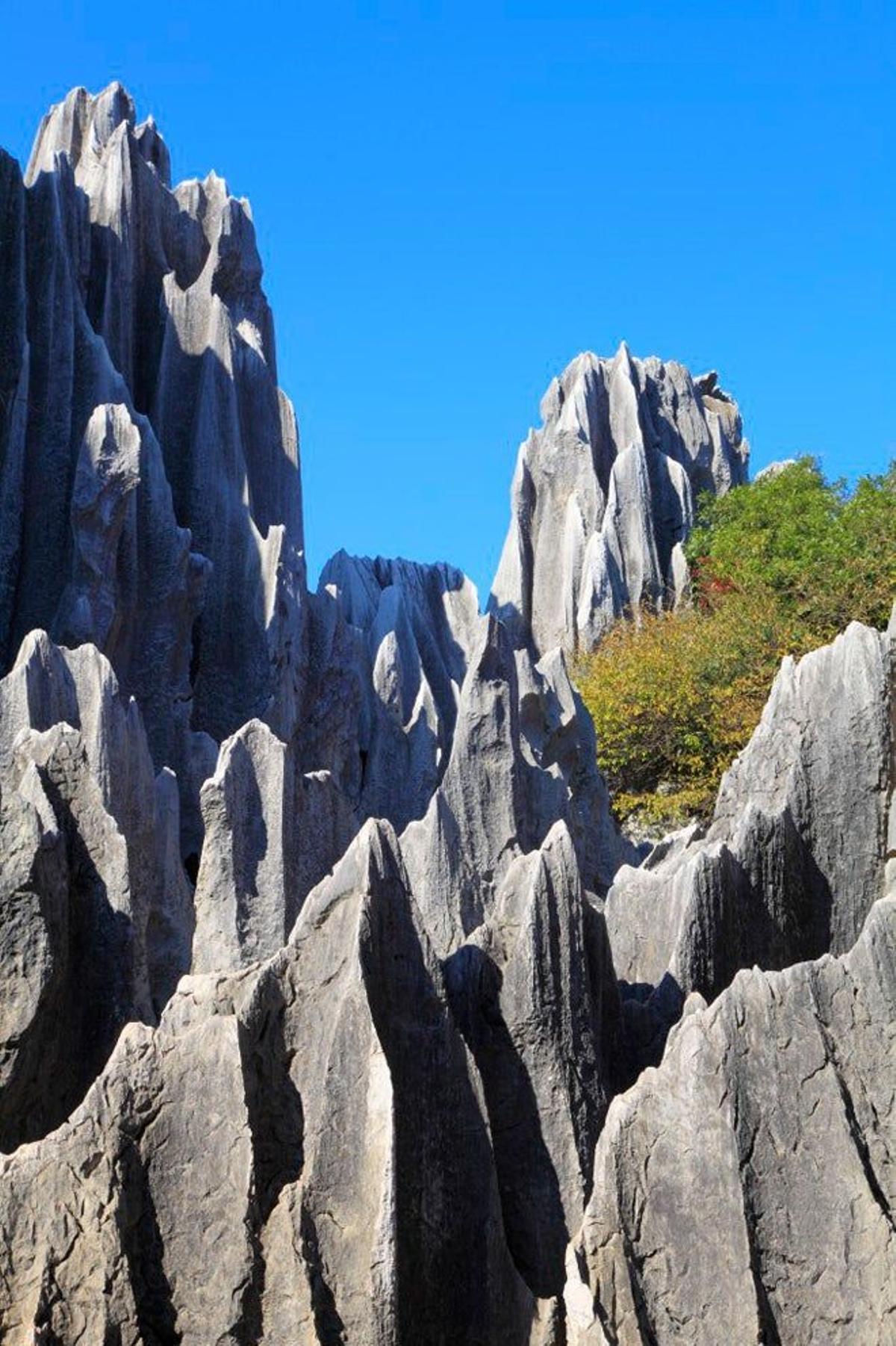 El Bosque de Piedra o Shilin