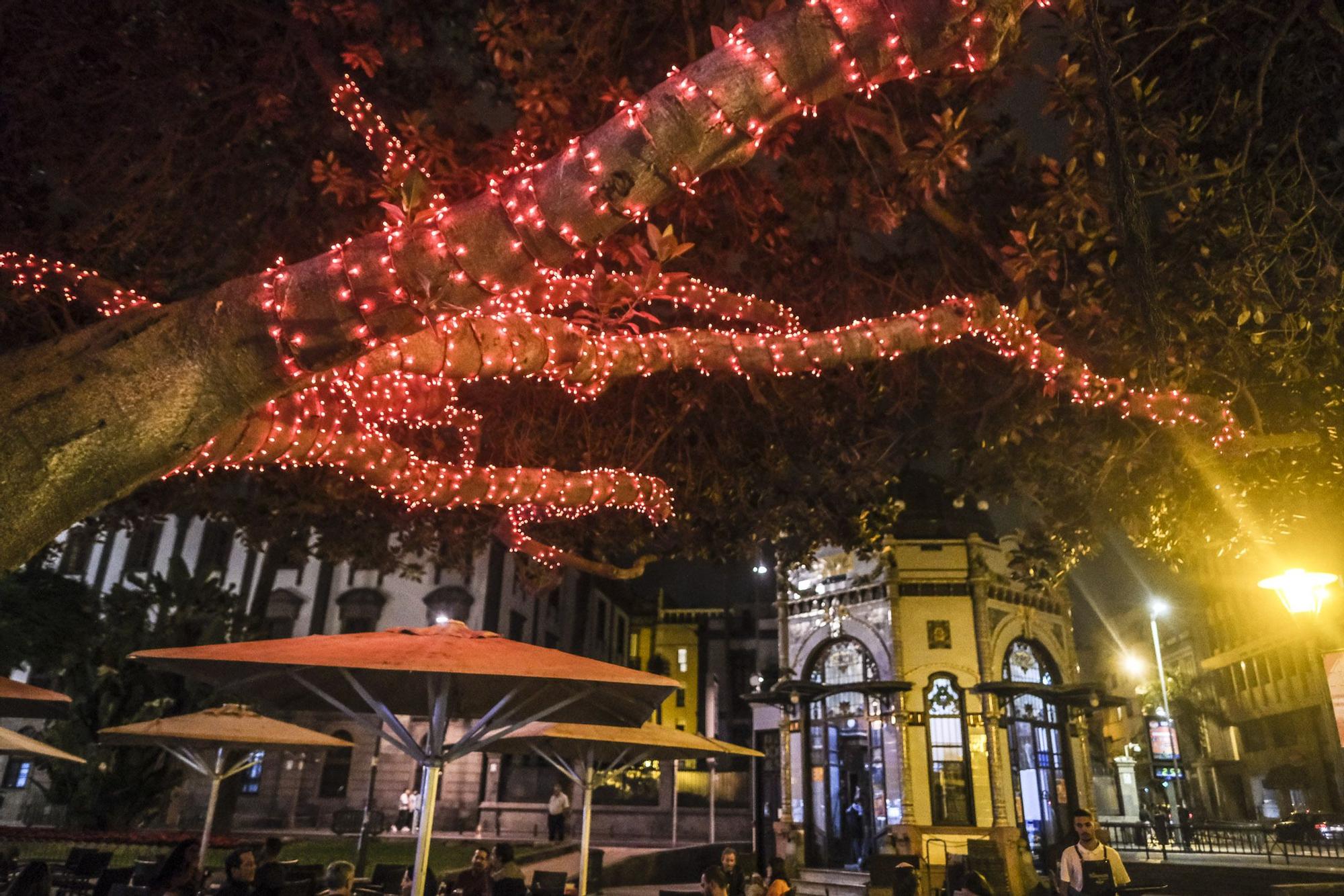 Encendido navideño en Las Palmas de Gran Canaria