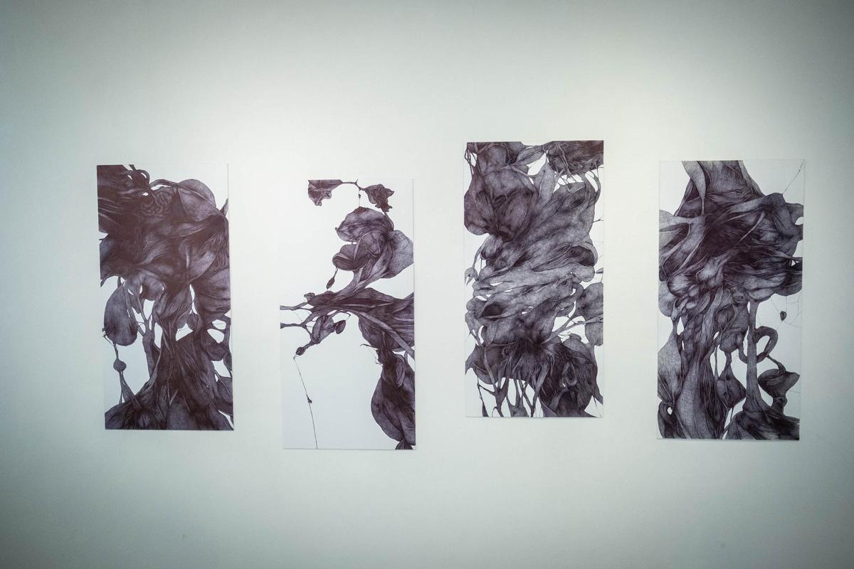 Varios de los dibujos de Cabrera.