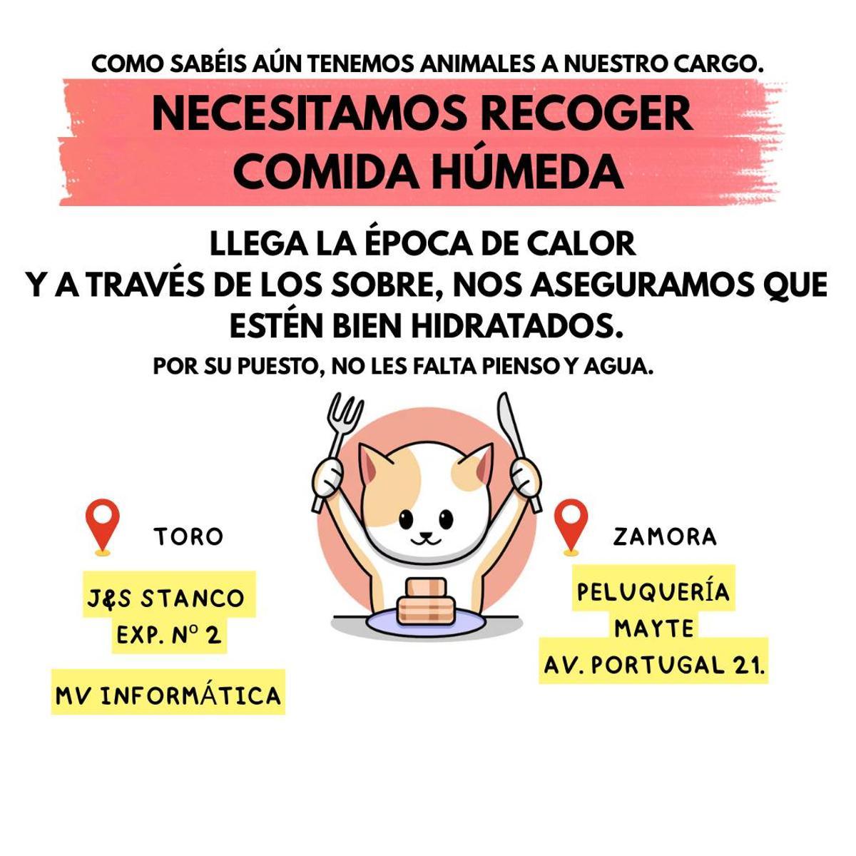 Cartel Asociación Animales Abandonados en Toro