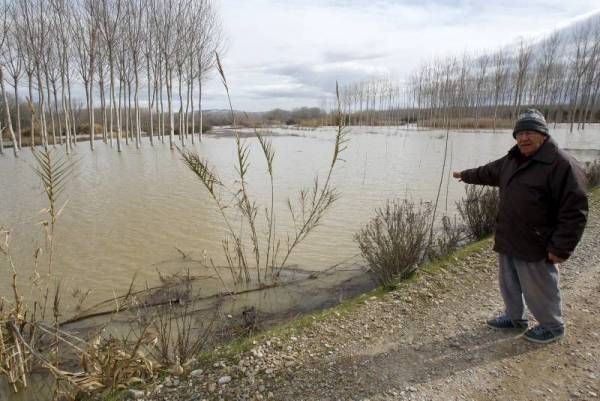 Fotogalería: La crecida del Ebro a su paso por Zaragoza