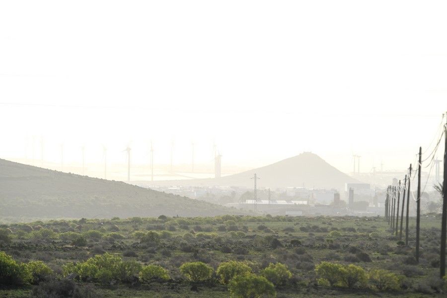 Calima en Gran Canaria (15/02/2021)