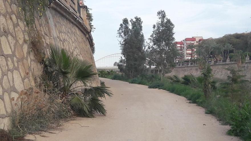 Estado actual del tramo urbano de la mota del río Segura en Murcia