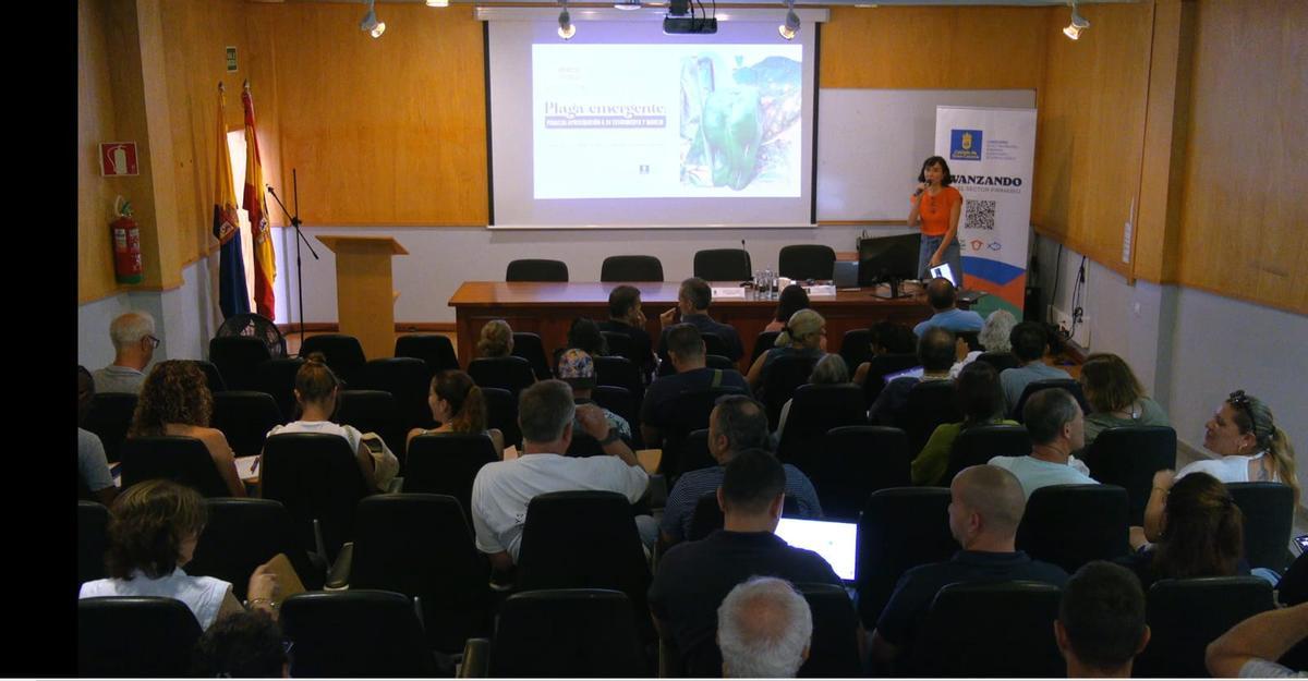 Imagen de la jornada técnica organizada por el Cabildo.