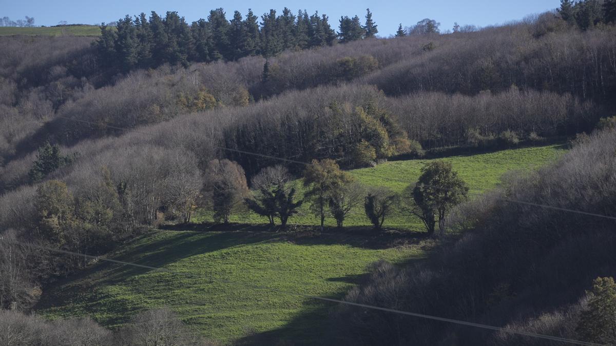 Recorrido por los monasterios olvidados del occidente de Asturias