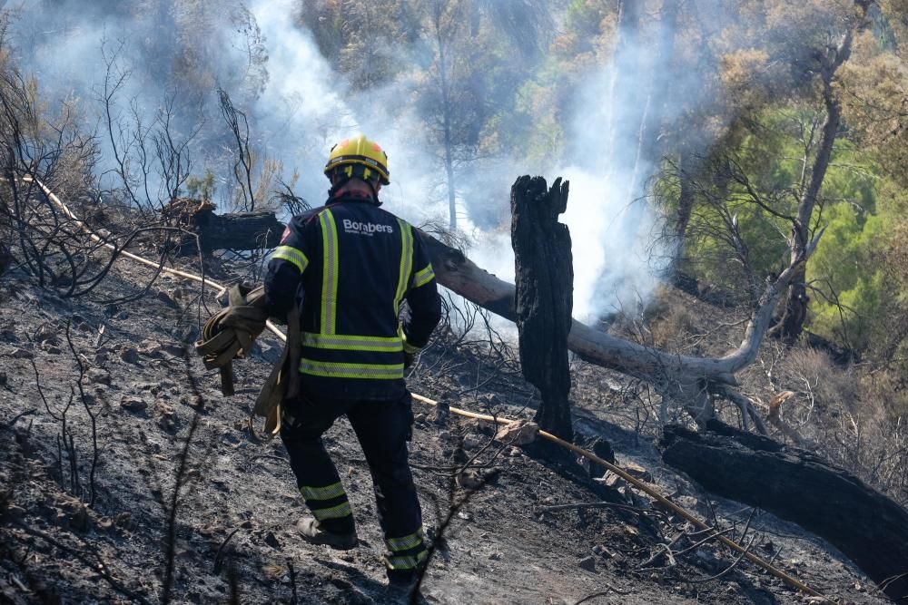 El fuego se inició a última hora de ayer miércoles y ha estado activo toda la noche.