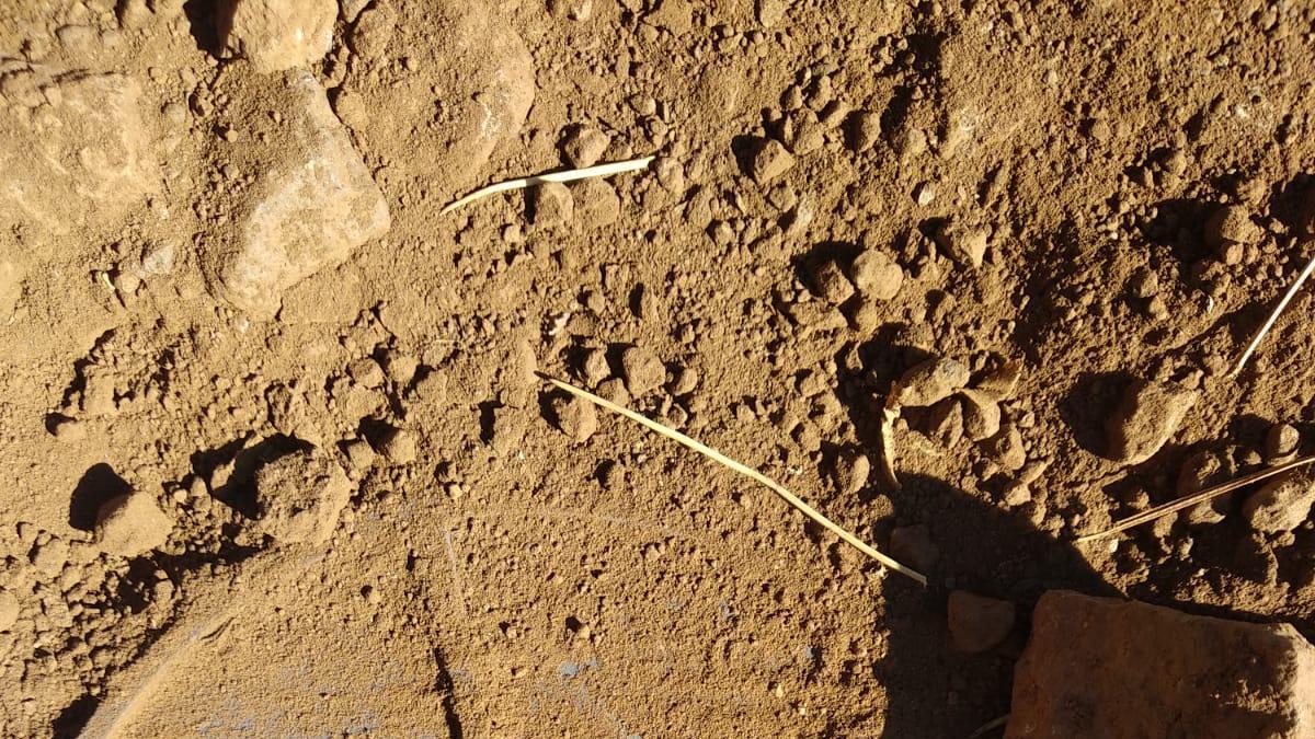 La mina anticarro que apareció en la zona del Pico de las Nieves.