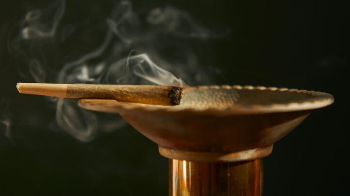 El cannabis, la sustancia ilegal de mayor consumo en la Comunidad de Madrid.