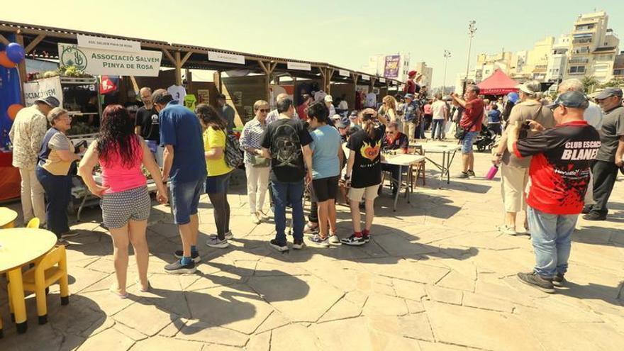 En marxa la XII Fira d’Entitats de Blanes, amb activitats de tota mena tot el cap de setmana al Passeig de Mar
