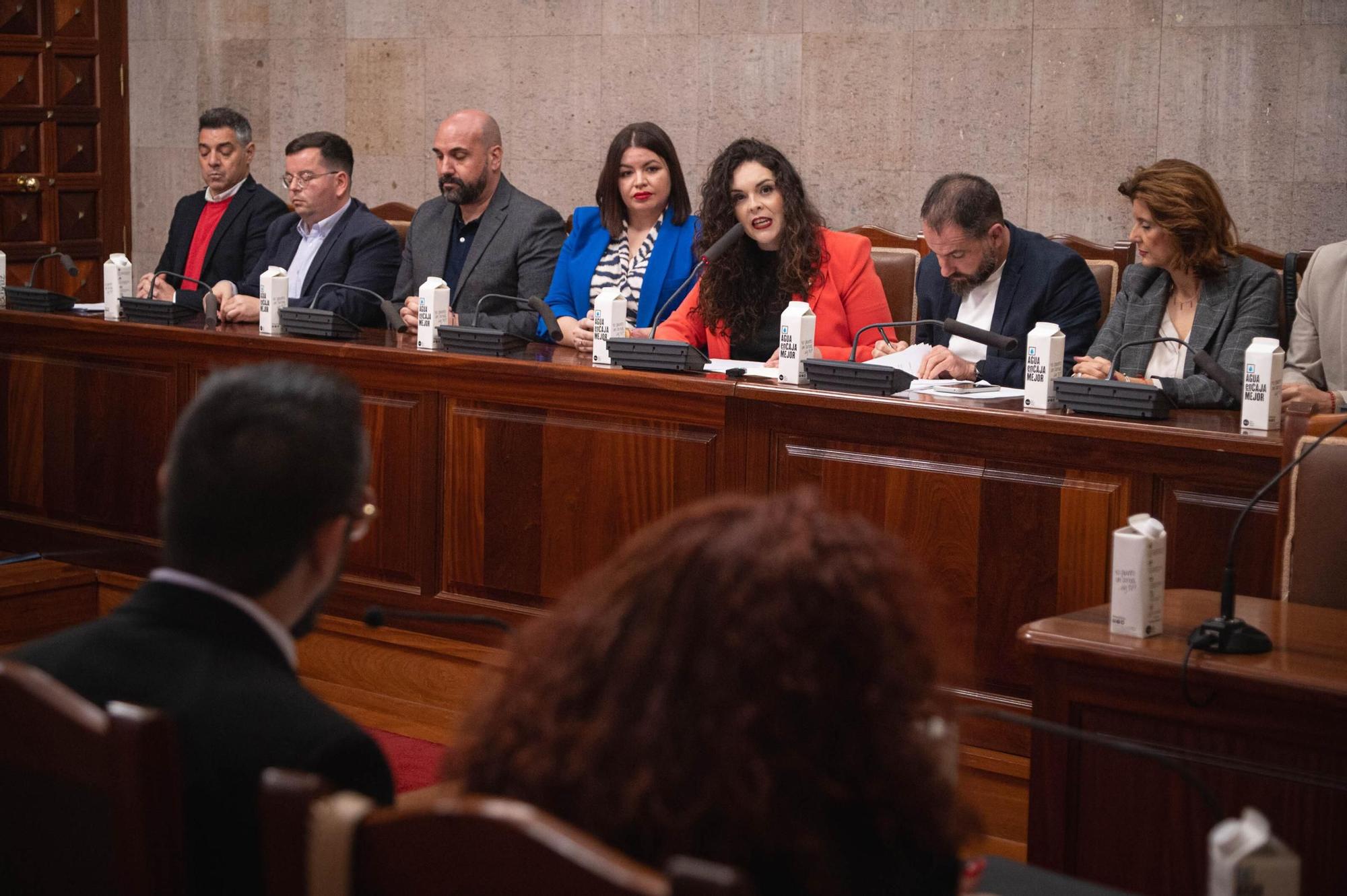 Moción de censura en Granadilla de Abona