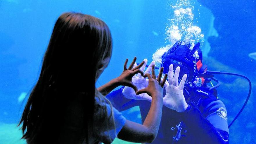 Palma Aquarium, quince añosde pasión por los océanos