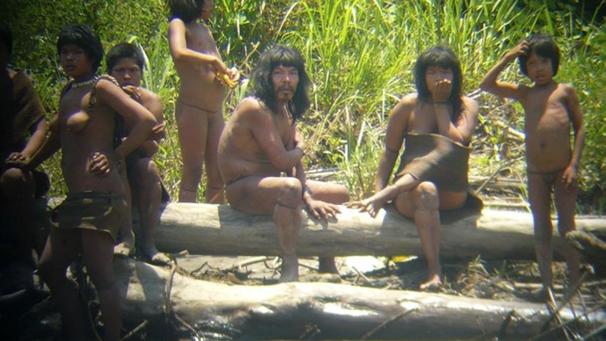 Members of the Mashco-Piro tribe observe an expedition of the Spanish Geographical Society from across the Alto Madre de Dios river
